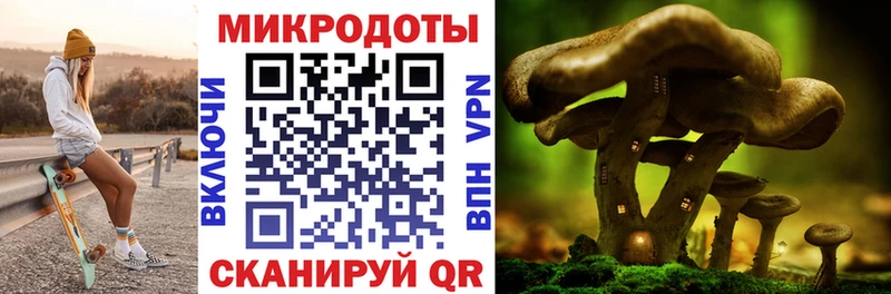 hydra мориарти как зайти Тихвин Псилоцибиновые грибы Cubensis хочу